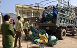 [ẢNH] Thực phẩm bẩn - Con đường ngắn từ dạ dày đến nghĩa địa