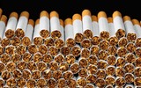[ẢNH] Sự thật đáng sợ về những chất độc 
