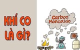 [ẢNH] Sự thật đáng sợ về những chất độc 