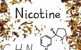[ẢNH] Sự thật đáng sợ về những chất độc 