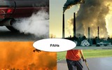 [ẢNH] Sự thật đáng sợ về những chất độc 