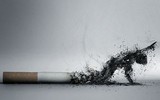 [ẢNH] Sự thật đáng sợ về những chất độc 
