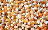 [ẢNH] Khám phá những công dụng tuyệt vời nhưng ít ai biết đến của lò vi sóng