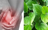 [ẢNH] Mẹo nhỏ dân gian giúp điều trị các bệnh thường gặp vào mùa đông