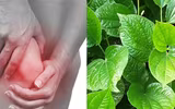 [ẢNH] Mẹo nhỏ dân gian giúp điều trị các bệnh thường gặp vào mùa đông