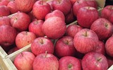 [ẢNH] Những loại quả đơn giản nhưng có giá đắt đỏ bậc nhất thế giới
