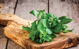 [ẢNH] Hạ sốt an toàn cho trẻ bằng các mẹo dân gian