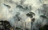 [ẢNH] Thiên tai - nỗi ám ảnh kinh hoàng của nhân loại trong năm 2019