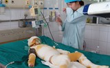 [ẢNH] Các cách dập lửa do chập điện, dập cháy do xăng không phải ai cũng biết