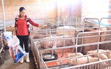 [ẢNH] Những chính sách mới nổi bật có hiệu lực từ 1-1-2020