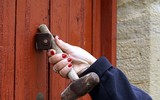 [ẢNH] Những phong tục đón Tết Dương lịch độc đáo của các quốc gia trên thế giới