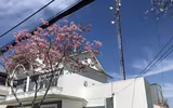 [ẢNH] 