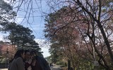 [ẢNH] 