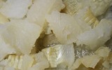 [ẢNH] Những đặc sản 