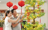 [ẢNH] Những đồ vật trang trí giúp ngôi nhà thêm ấm cúng trong dịp Tết
