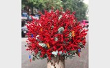 [ẢNH] Những loại cây cảnh có giá cao ngất ngưởng nhưng vẫn được săn đón trong dịp Tết 2020
