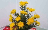 [ẢNH] Những bí quyết giúp hoa tươi lâu trong ngày Tết