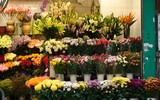 [ẢNH] Những bí quyết giúp hoa tươi lâu trong ngày Tết