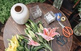 [ẢNH] Những bí quyết giúp hoa tươi lâu trong ngày Tết
