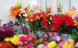 [ẢNH] Những bí quyết giúp hoa tươi lâu trong ngày Tết