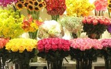 [ẢNH] Những bí quyết giúp hoa tươi lâu trong ngày Tết