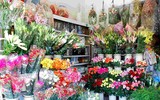 [ẢNH] Những bí quyết giúp hoa tươi lâu trong ngày Tết