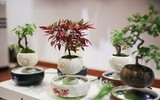 [Ảnh] Quà Tết nào nên mua - quà Tết nào nên tránh khi đem biếu tặng?