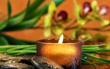 [ẢNH] Những vật dụng quen thuộc trong gia đình tiềm ẩn nguy cơ gây ung thư