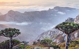 [ẢNH] Những điều thú vị ít người biết về hòn đảo 