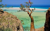 [ẢNH] Những điều thú vị ít người biết về hòn đảo 