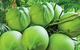 [ẢNH] Những công dụng bất ngờ của nước dừa đối với sức khỏe