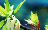 [ẢNH] Những điều nên làm trong ngày Tết để cả năm gặp may
