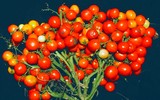 [ẢNH] Những lợi ích tuyệt vời của cà chua đối với sức khỏe