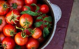 [ẢNH] Những lợi ích tuyệt vời của cà chua đối với sức khỏe
