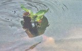 [ẢNH] Tuyệt kỹ 