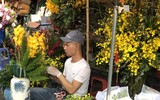 [ẢNH] Nhộn nhịp chợ hoa Quảng An ngày cuối năm trong mưa lạnh