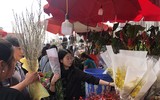 [ẢNH] Nhộn nhịp chợ hoa Quảng An ngày cuối năm trong mưa lạnh