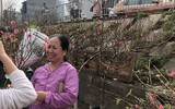 [ẢNH] Nhộn nhịp chợ hoa Quảng An ngày cuối năm trong mưa lạnh
