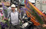 [ẢNH] Nhộn nhịp chợ hoa Quảng An ngày cuối năm trong mưa lạnh