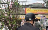 [ẢNH] Nhộn nhịp chợ hoa Quảng An ngày cuối năm trong mưa lạnh