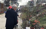 [ẢNH] Nhộn nhịp chợ hoa Quảng An ngày cuối năm trong mưa lạnh