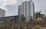 [ẢNH] Nhộn nhịp chợ hoa Quảng An ngày cuối năm trong mưa lạnh