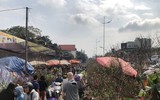 [ẢNH] Nhộn nhịp chợ hoa Quảng An ngày cuối năm trong mưa lạnh