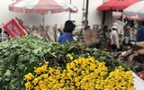 [ẢNH] Nhộn nhịp chợ hoa Quảng An ngày cuối năm trong mưa lạnh