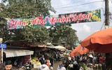 [ẢNH] Nhộn nhịp chợ hoa Quảng An ngày cuối năm trong mưa lạnh