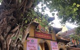 [ẢNH]  Đầu năm, người Hà Nội tấp nập đi lễ chùa cầu an