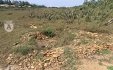 [ẢNH] Phim trường 