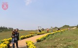 [ẢNH] Phim trường 