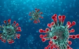 [ẢNH] Cách phân biệt khi bị nhiễm virus corona và bệnh cảm lạnh thông thường