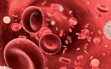 [ẢNH] Cách phân biệt khi bị nhiễm virus corona và bệnh cảm lạnh thông thường